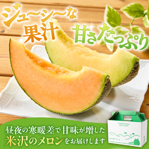 【先行予約】 令和8年産 赤肉青肉メロン 食べ比べセット ( クインシー719 ・ クレセント ) 各1玉 計2玉 4kg以上 2026年7月中旬～8月中旬頃お届け予定