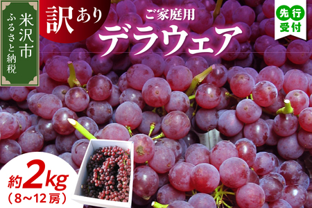 【先行予約】【数量限定】【令和8年産】家庭用 訳あり ぶどう デラウェア 2kg ( 8～12房 ) 2026年8月20日～9月20日頃お届け予定