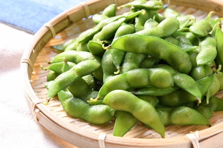 【先行予約】 令和8年産 トウモロコシと夏野菜セット セブンティーントウモロコシ ピーマン 長茄子 キュウリ 枝豆 2026年8月上旬～下旬頃 お届け予定