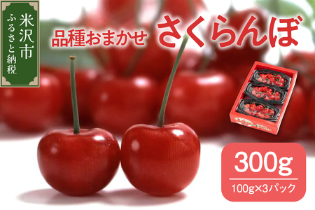 《 先行予約 》 令和7年産 さくらんぼ 300g ( 100g × 3パック ) 品種おまかせ ( 佐藤錦 紅秀峰 紅てまり 大将錦 いずれか ) 2025年産