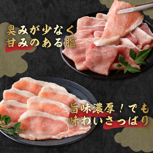 天元豚 ひき肉 1.5kg ( 250g × 6パック )ブランド豚 ポーク おかず お取り寄せ 送料無料 山形県 米沢市
