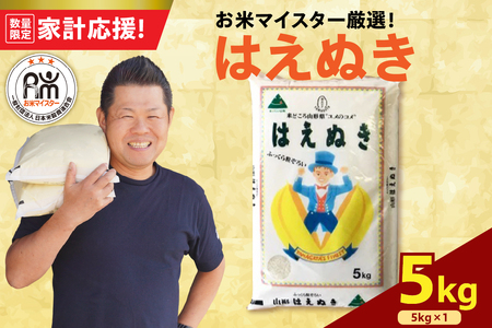 【数量限定 家計応援】《 新米 》【 令和6年産 新米 】 はえぬき 5kg ( 5kg × 1袋 ) 2024年産