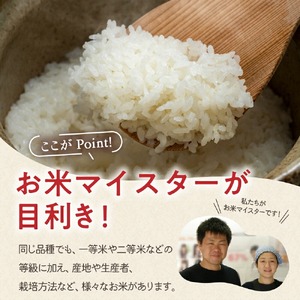 【数量限定 家計応援】《 新米 》【 令和6年産 新米 】 はえぬき 5kg ( 5kg × 1袋 ) 2024年産