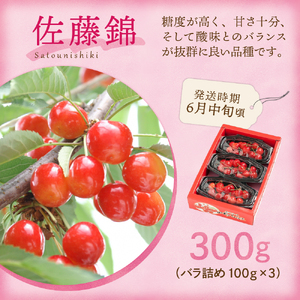 【先行予約】 令和8年産 旬のフルーツ 3回 定期便 さくらんぼ 佐藤錦 ぶどう シャインマスカット りんご サンふじ