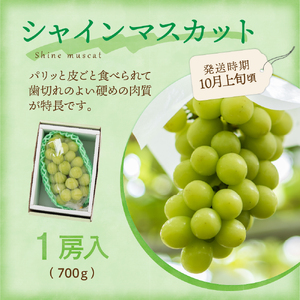 【先行予約】 令和8年産 旬のフルーツ 3回 定期便 さくらんぼ 佐藤錦 ぶどう シャインマスカット りんご サンふじ
