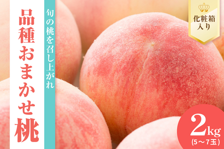 《 先行予約 数量限定 》 令和7年産 もも 2kg （ 化粧箱 ） 品種おまかせ 5～7玉 〔 2025年8月中下旬～9月上旬頃お届け 〕 2025年産