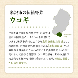 Ukogi Herb Tea（ウコギハーブティー）2種 Cセット カモミールブレンド ペパーミントブレンド 各10個 計20個入り ティーバッグ