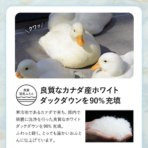 羽毛移動防止特殊構造 羽毛増量タイプ掛け布団 350dp シングル オフホワイト