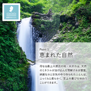 訳あり meguru羽毛掛けふとん ダウン90％ シングル ネイビー