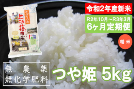 【R2年産新米/先行受付】《定期便》つや姫5kg×6ヶ月_無農薬・無化学肥料栽培《精米》_R2年10月~R3年3月|004R2-001-01