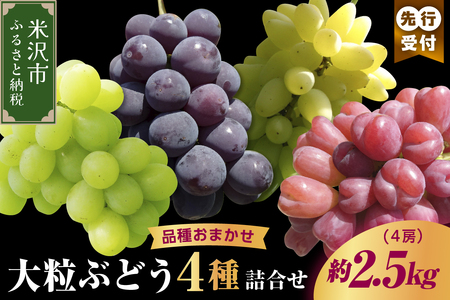 【先行予約】【数量限定】【令和8年産】大粒 ぶどう 詰合せ 4種類 2.5kg 4房 品種おまかせ 2026年9月15日～9月30日頃お届け予定