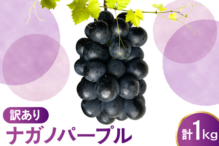 【先行予約】 令和8年産 訳あり ぶどう ナガノパープル 1kg 2026年9月上旬頃~お届け予定