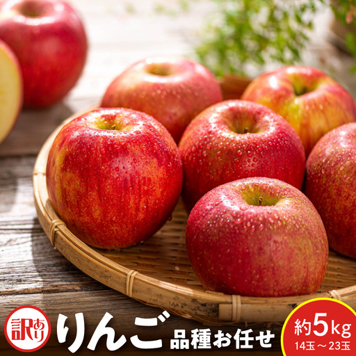 先行予約 令和8年産 訳あり りんご 品種 お任せ 約5kg りんご