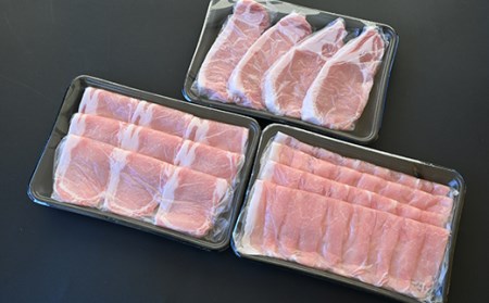 【安全・ヘルシーポーク】天元豚よくばり詰合せセット 計1.2kg しゃぶしゃぶ 焼肉 とんかつ 豚肉 [009-001]