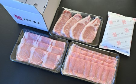 【安全・ヘルシーポーク】天元豚よくばり詰合せセット 計1.2kg しゃぶしゃぶ 焼肉 とんかつ 豚肉 [009-001]