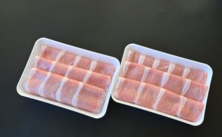 天元豚ロース生姜焼き用セット 計1kg (500g×2パック) 豚肉 [009-005]