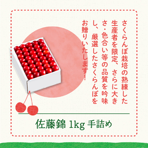 【先行予約】 令和8年産 さくらんぼ 佐藤錦 1kg ( 手詰め ) 2026年6月上旬~下旬頃お届け予定