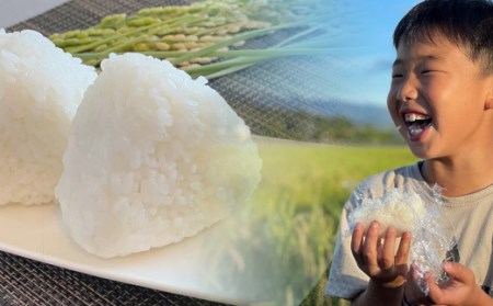 《令和5年産》特別栽培米 夢ごこち 10kg 1袋 玄米可 農家直送 2023年産 [063R5-004]