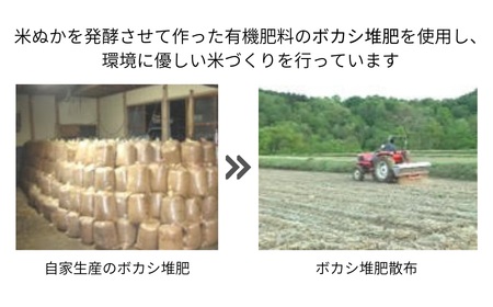 【令和7年産】特別栽培米 つや姫 6kg（3kg×2袋） 山形県 鶴岡市 伊藤農園（伊藤嘉吉）
