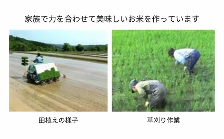 【令和7年産】特別栽培米 つや姫 10kg（5kg×2袋） 山形県 鶴岡市  伊藤農園（伊藤嘉吉）