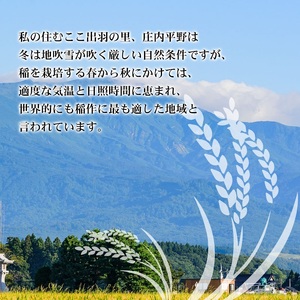 令和5年産】 特別栽培米 つや姫 精米 10kg (5kg×2袋) 本間ライローズ