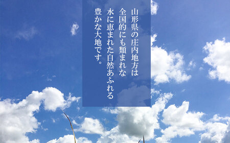 【令和6年産 新米】 つや姫 精米 10kg 山形県庄内産　野々ファーム