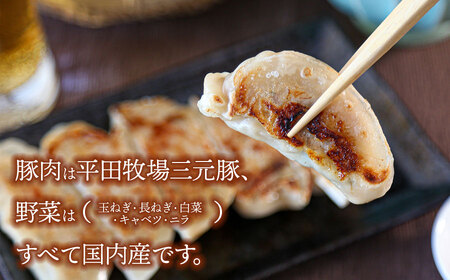 つや姫米粉入り 三元豚餃子(32g×6個入×10パック) 株式会社 たませ