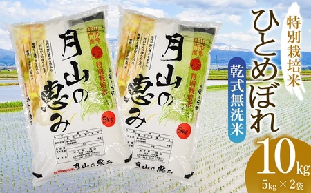 令和5年産】 特別栽培米 ひとめぼれ 無洗米 10kg（5kg×2袋 計10kg