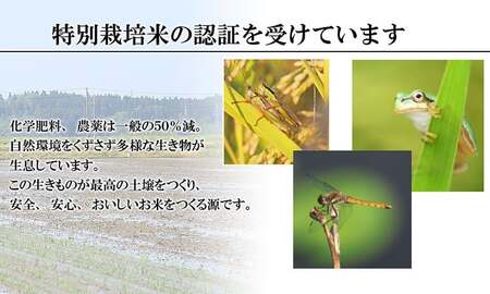 【令和6年産 新米】 特別栽培米 ひとめぼれ 乾式無洗米 10kg（5kg×2袋）山形県鶴岡市産　米工房 月山