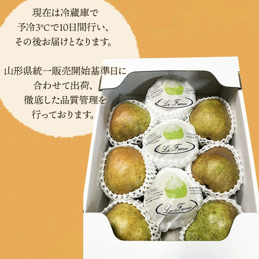 【令和8年産先行予約】安野農園のこだわりラ・フランス 3kg（5～9玉） 化粧箱入り 山形県鶴岡産　安野農園