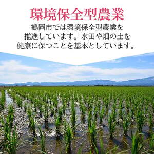 【令和6年産】 ひとめぼれ 乾式無洗米 10kg（5kg×2袋）山形県鶴岡市産 有限会社コープスター会