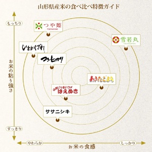 【定期便】【令和6年産 新米】 つや姫 無洗米 5kg×6回(計30kg)  山形県庄内産　有限会社 阿部ベイコク