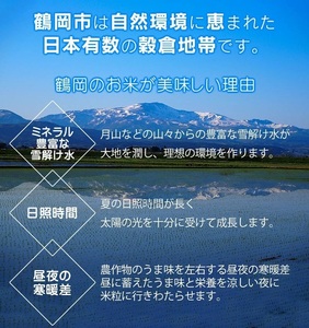 【令和7年産】【3ヶ月定期便】つや姫 無洗米 10kg (5kg×2袋) ×3回　(計30kg)  山形県庄内産　有限会社 阿部ベイコク