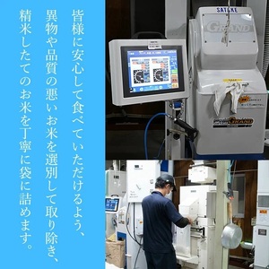 【令和7年産】 雪若丸　無洗米　4kg (2kg×2袋)　山形県庄内産　有限会社 阿部ベイコク