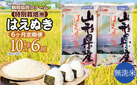 【令和6年産先行予約】 特別栽培米はえぬき 無洗米 10kg (5kg×2袋)×6ヶ月【定期便】　鶴岡協同ファーム