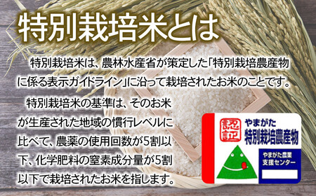 【令和6年産先行予約】 特別栽培米はえぬき 無洗米 10kg (5kg×2袋)×6ヶ月【定期便】　鶴岡協同ファーム