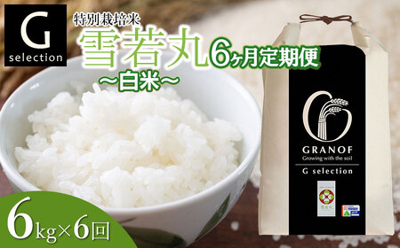 令和4年　山形県庄内産　雪若丸　白米20kg　Ｇセレクション　特別栽培米 令和4年 山形県庄内産 雪若丸 白米20kg Gセレクション 特別