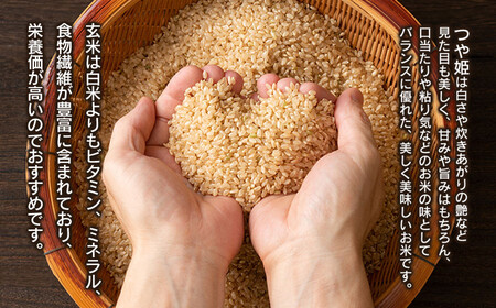 数量限定 【令和6年産先行予約】 山形県庄内産 小池半左衛門のお米 特別栽培米 つや姫 玄米 5kg (5kg×1袋)