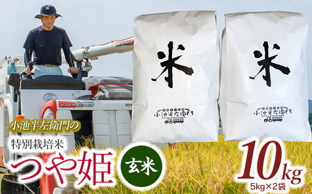 数量限定 【令和6年産先行予約】 山形県庄内産 小池半左衛門のお米 特別栽培米 つや姫 玄米 10kg (5kg×2袋)