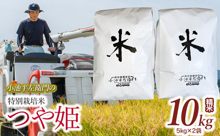 数量限定 【令和7年産】 山形県庄内産 小池半左衛門のお米 特別栽培米 つや姫 精米 10kg (5kg×2袋)
