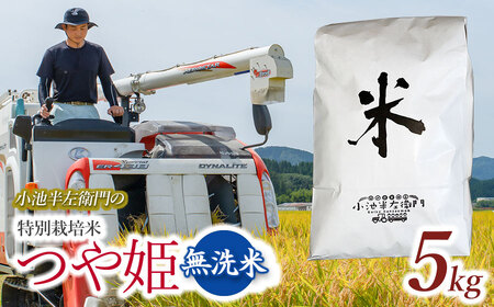 数量限定 【令和7年産】 山形県庄内産 小池半左衛門のお米 特別栽培米 つや姫 無洗米 5kg (5kg×1袋)