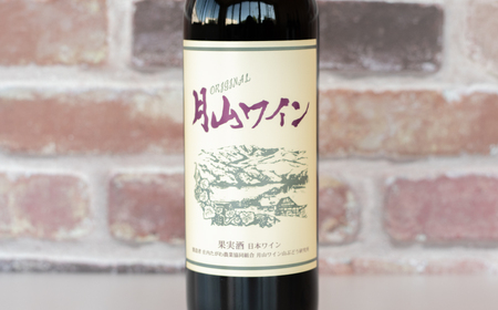月山ワイン　赤ワイン６本　お楽しみセット　E16-201