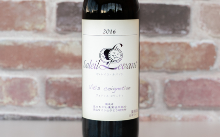 月山ワイン　赤ワイン６本　お楽しみセット　E16-201
