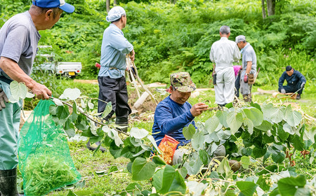 【天然成分100%化粧水】umunowaしなの花水　羽越のデザイン企業組合　A75-801