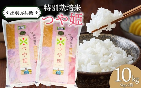 数量限定【令和5年産】特別栽培米つや姫白米　5kg×2袋　計10kg　山形県鶴岡市産　出羽弥兵衛