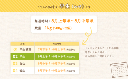 【令和8年産先行予約】だだちゃ豆(早生)　1000g（500g×2袋）　だだちゃ喜左衛門株式会社　枝豆 1kg