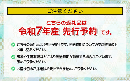 【令和7年産 先行予約】菅原農園の庄内砂丘メロン 約4.5kg （3玉～5玉） アンデス メロン 【7月下旬～8月上旬】　K-735　菅原農園　鶴岡地区物産協同組合