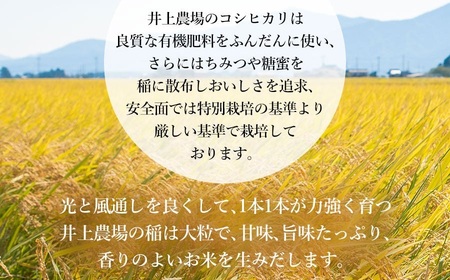 【令和6年産 先行予約】【定期便12ヶ月】 井上農場の特別栽培米 コシヒカリ 無洗米6kg (2kg×3袋) ×12ヶ月 K-634