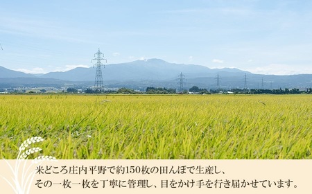 【令和6年産 先行予約】井上農場の特別栽培米4品種食べ比べセット(各2kg)　K-648