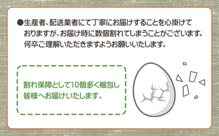 山形県鶴岡市産　Mサイズ卵 1箱約70個（＋割れ保障10個入） 鶏卵　泉屋商店　K-621